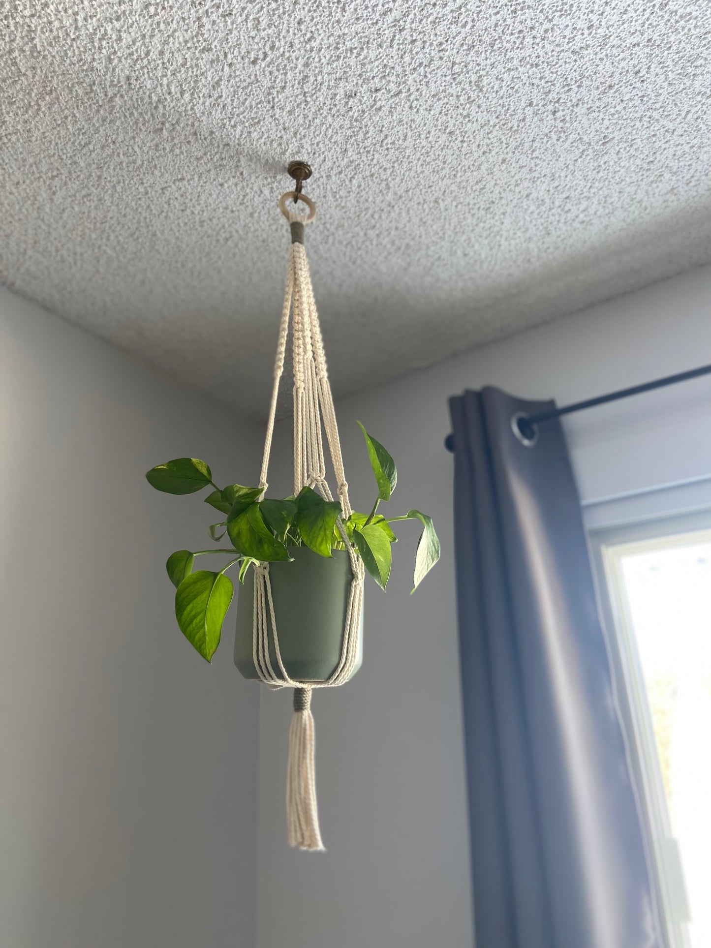 Macrame Plant Hanger